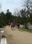 gal/Duathlon Saint-Jean de Monts/_thb_P1050563.JPG